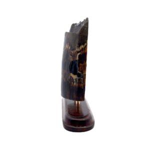 Mammoth Ivory, Alaska Mint, 073492 $1195, JU 3”