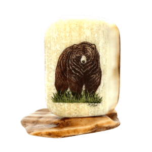 Bear Scrimshaw Artwork Fossil Ivory, Alaska Mint