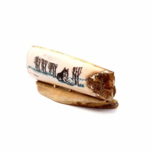 Laying Wolf Scrimshaw Artwork Fossil Ivory, Alaska Mint