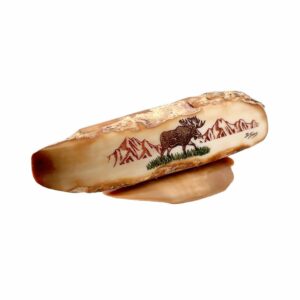 Lone Moose Scrimshaw Artwork Fossil Ivory, Alaska Mint