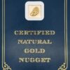 2.5 Gram Natural Gold Nugget from Chicken, Alaska