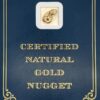 3.1 Gram Natural Gold Nugget from Chicken, Alaska