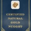 4.9 Gram Natural Gold Nugget from Valdez Creek, Alaska