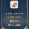 8.4 Gram Natural Gold Nugget from Hunter Creek, Alaska