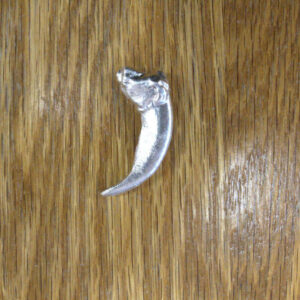 Pure Silver Grizzly Bear Claw - Small